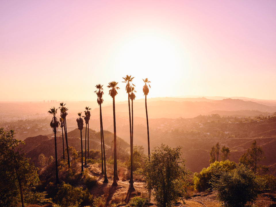 Griffith Park 1