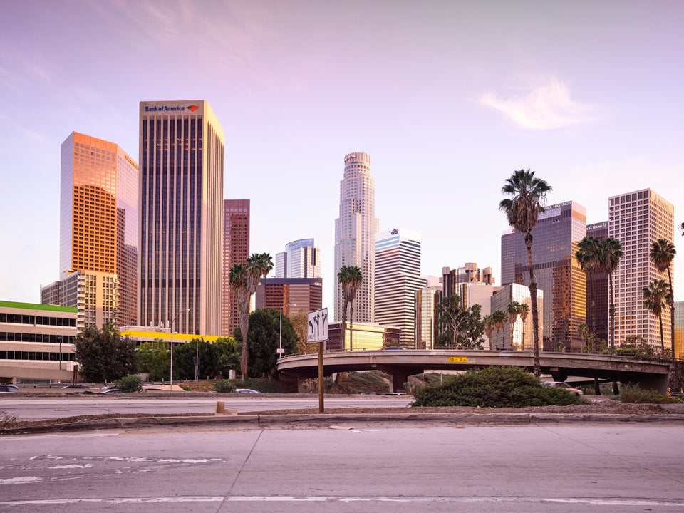 110 Fwy #2 LA